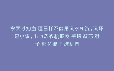 今天才知道:这6样不能用洗衣机洗,洗坏是小事,小心洗衣机报废|毛毯|枕芯|鞋子|棉花被|毛绒玩具
