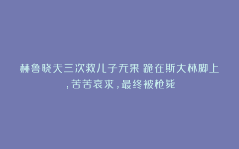 赫鲁晓夫三次救儿子无果：跪在斯大林脚上，苦苦哀求，最终被枪毙