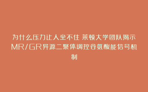 为什么压力让人坐不住?莱顿大学团队揭示MR/GR异源二聚体调控谷氨酸能信号机制