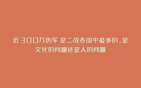 近300万伪军！是二战各国中最多的，是文化的问题还是人的问题？