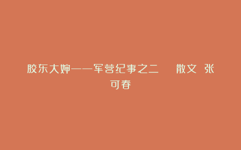 胶东大婶——军营纪事之二 | 散文 张可春