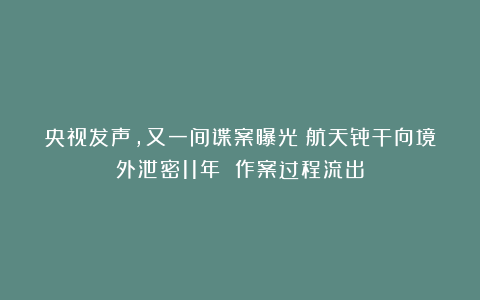 央视发声，又一间谍案曝光！航天骨干向境外泄密11年 作案过程流出