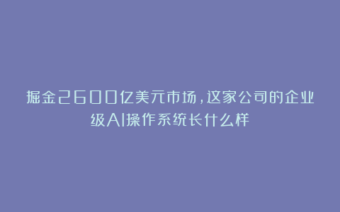 掘金2600亿美元市场，这家公司的企业级AI操作系统长什么样？