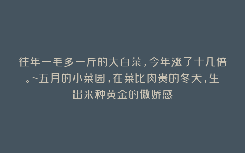 往年一毛多一斤的大白菜,今年涨了十几倍。~五月的小菜园,在菜比肉贵的冬天,生出来种黄金的傲娇感!