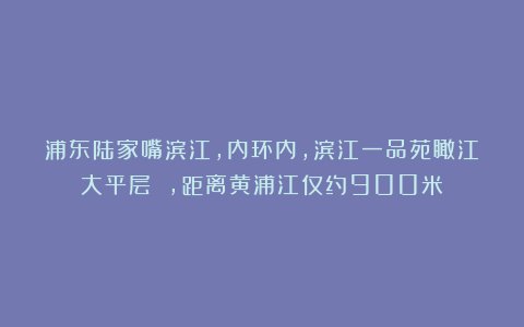 浦东陆家嘴滨江,内环内,滨江一品苑瞰江大平层 ,距离黄浦江仅约900米