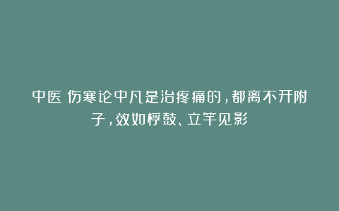 中医：伤寒论中凡是治疼痛的，都离不开附子，效如桴鼓、立竿见影