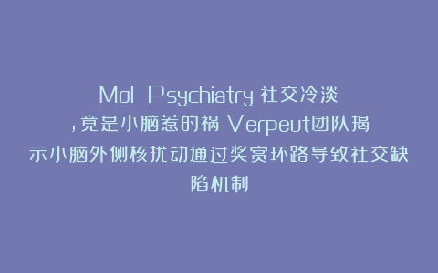 Mol Psychiatry:社交冷淡,竟是小脑惹的祸!Verpeut团队揭示小脑外侧核扰动通过奖赏环路导致社交缺陷机制