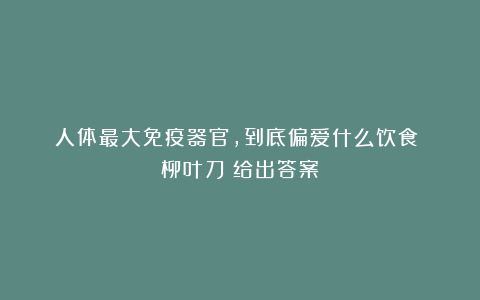 人体最大免疫器官，到底偏爱什么饮食？《柳叶刀》给出答案