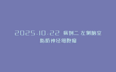 2025.10.22 病例二：左侧脑室脂肪神经细胞瘤