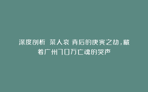 深度剖析:《菜人哀》背后的庚寅之劫,藏着广州70万亡魂的哭声
