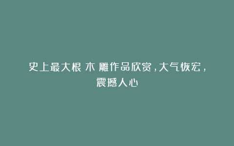 史上最大根（木）雕作品欣赏，大气恢宏，震撼人心