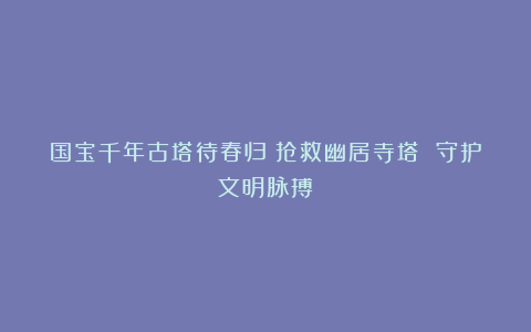 国宝千年古塔待春归：抢救幽居寺塔 守护文明脉搏