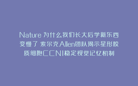 Nature:为什么我们长大后学新东西变慢了?索尔克Allen团队揭示星形胶质细胞CCN1稳定视觉记忆机制