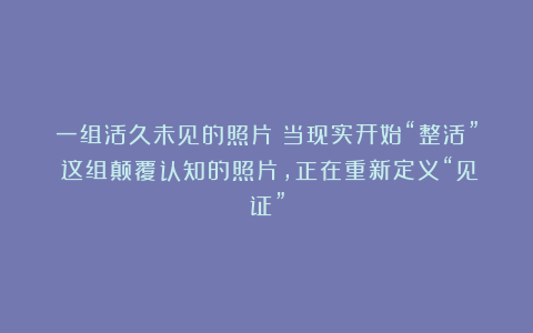 一组活久未见的照片：当现实开始“整活”：这组颠覆认知的照片，正在重新定义“见证”