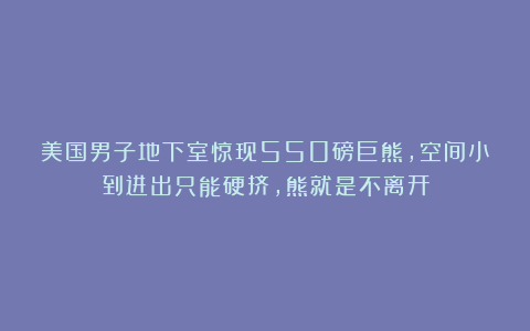 美国男子地下室惊现550磅巨熊，空间小到进出只能硬挤，熊就是不离开