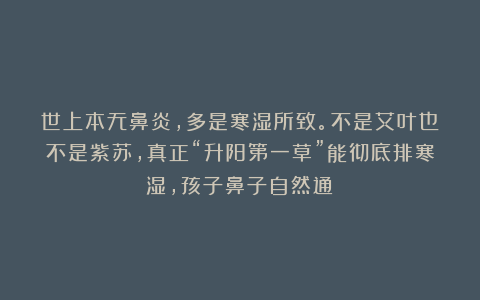 世上本无鼻炎，多是寒湿所致。不是艾叶也不是紫苏，真正“升阳第一草”能彻底排寒湿，孩子鼻子自然通！