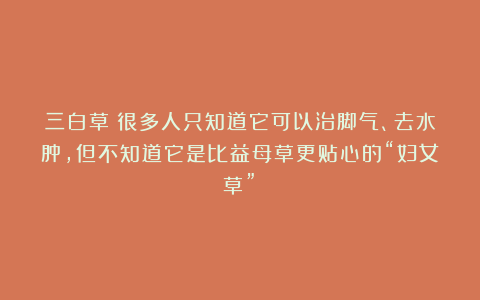 三白草:很多人只知道它可以治脚气、去水肿,但不知道它是比益母草更贴心的“妇女草”!