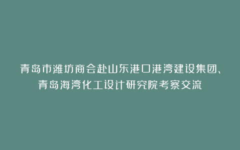 青岛市潍坊商会赴山东港口港湾建设集团、青岛海湾化工设计研究院考察交流