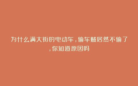 为什么满大街的电动车，偷车贼居然不偷了，你知道原因吗？