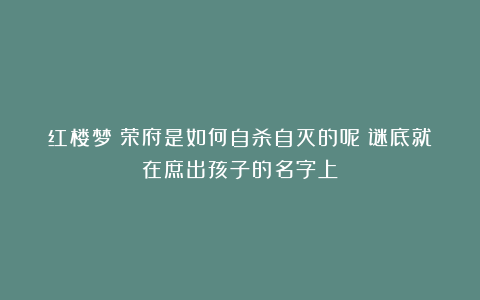 红楼梦:荣府是如何自杀自灭的呢?谜底就在庶出孩子的名字上