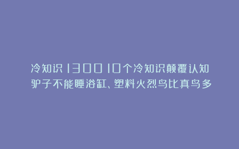 冷知识（1300）10个冷知识颠覆认知：驴子不能睡浴缸、塑料火烈鸟比真鸟多