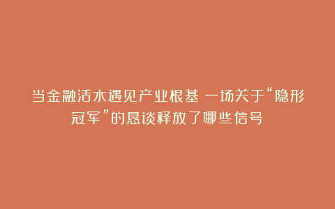 当金融活水遇见产业根基：一场关于“隐形冠军”的恳谈释放了哪些信号？