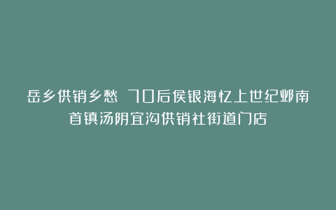 岳乡供销乡愁 70后侯银海忆上世纪邺南首镇汤阴宜沟供销社街道门店