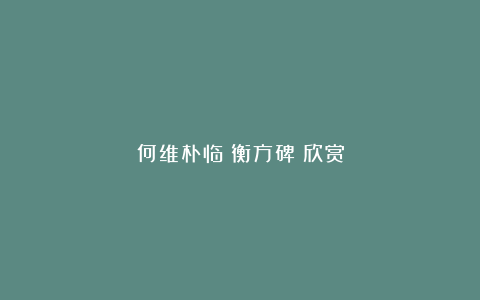 何维朴临《衡方碑》欣赏