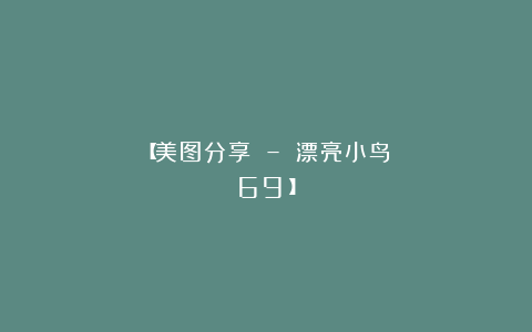 【美图分享 – 漂亮小鸟（69）】