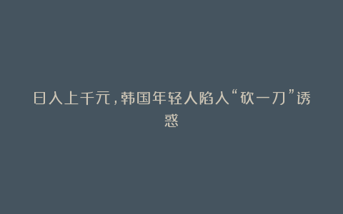 日入上千元，韩国年轻人陷入“砍一刀”诱惑？