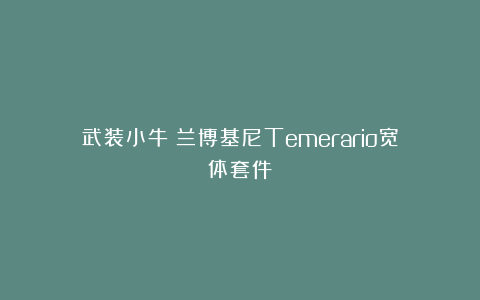 武装小牛！兰博基尼Temerario宽体套件