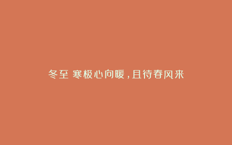 冬至：寒极心向暖，且待春风来
