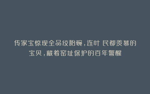 传家宝惊现全品绞胎碗，连叶喆民都羡慕的宝贝，藏着窑址保护的百年警醒