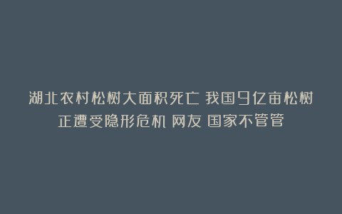 湖北农村松树大面积死亡？我国9亿亩松树正遭受隐形危机！网友：国家不管管？
