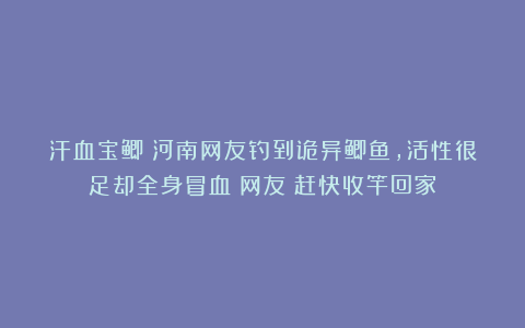 汗血宝鲫？河南网友钓到诡异鲫鱼，活性很足却全身冒血！网友：赶快收竿回家！