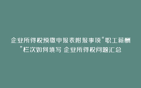 企业所得税预缴申报表附报事项“职工薪酬”栏次如何填写？企业所得税问题汇总～