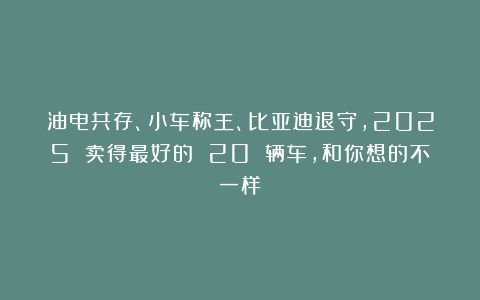 油电共存、小车称王、比亚迪退守，2025 卖得最好的 20 辆车，和你想的不一样