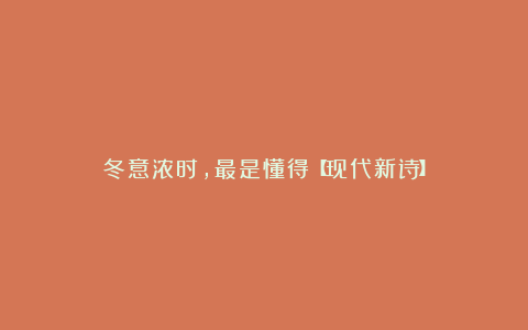 冬意浓时，最是懂得【现代新诗】