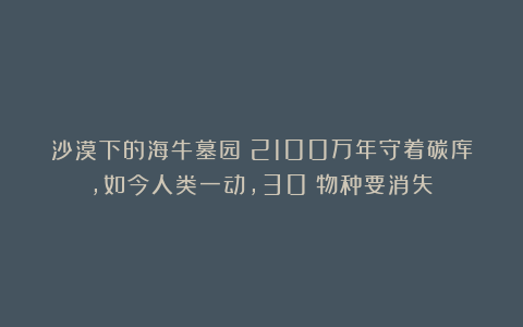 沙漠下的海牛墓园！2100万年守着碳库，如今人类一动，30%物种要消失？