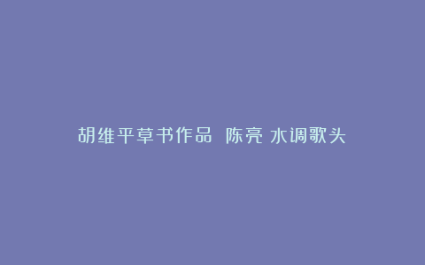 胡维平草书作品 陈亮《水调歌头》