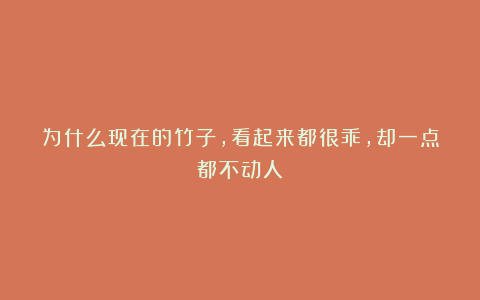 为什么现在的竹子，看起来都很乖，却一点都不动人？