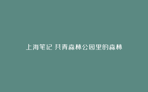 上海笔记：共青森林公园里的森林