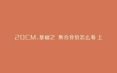 20CM，基础之 集合竞价怎么看（上）