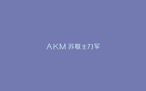 AKM：苏联主力军