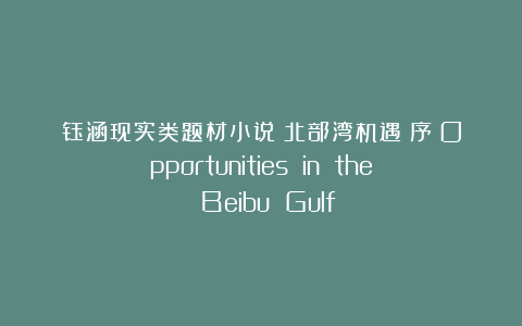 钰涵现实类题材小说《北部湾机遇》序《Opportunities in the Beibu Gulf》