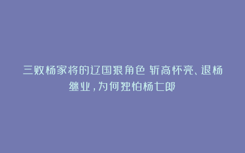 三败杨家将的辽国狠角色：斩高怀亮、退杨继业，为何独怕杨七郎？