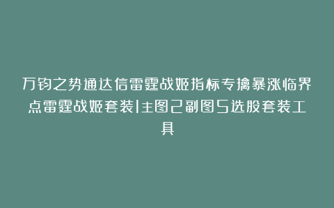 万钧之势通达信雷霆战姬指标专擒暴涨临界点雷霆战姬套装1主图2副图5选股套装工具