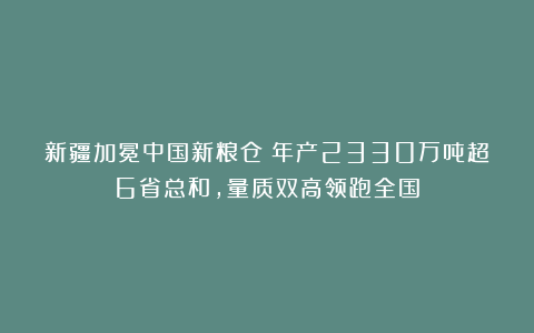 新疆加冕中国新粮仓!年产2330万吨超6省总和,量质双高领跑全国