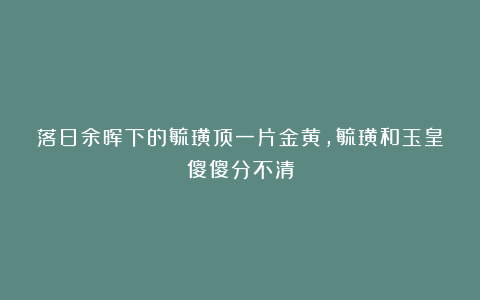 落日余晖下的毓璜顶一片金黄，毓璜和玉皇傻傻分不清