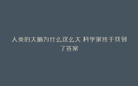 人类的大脑为什么这么大？科学家终于找到了答案